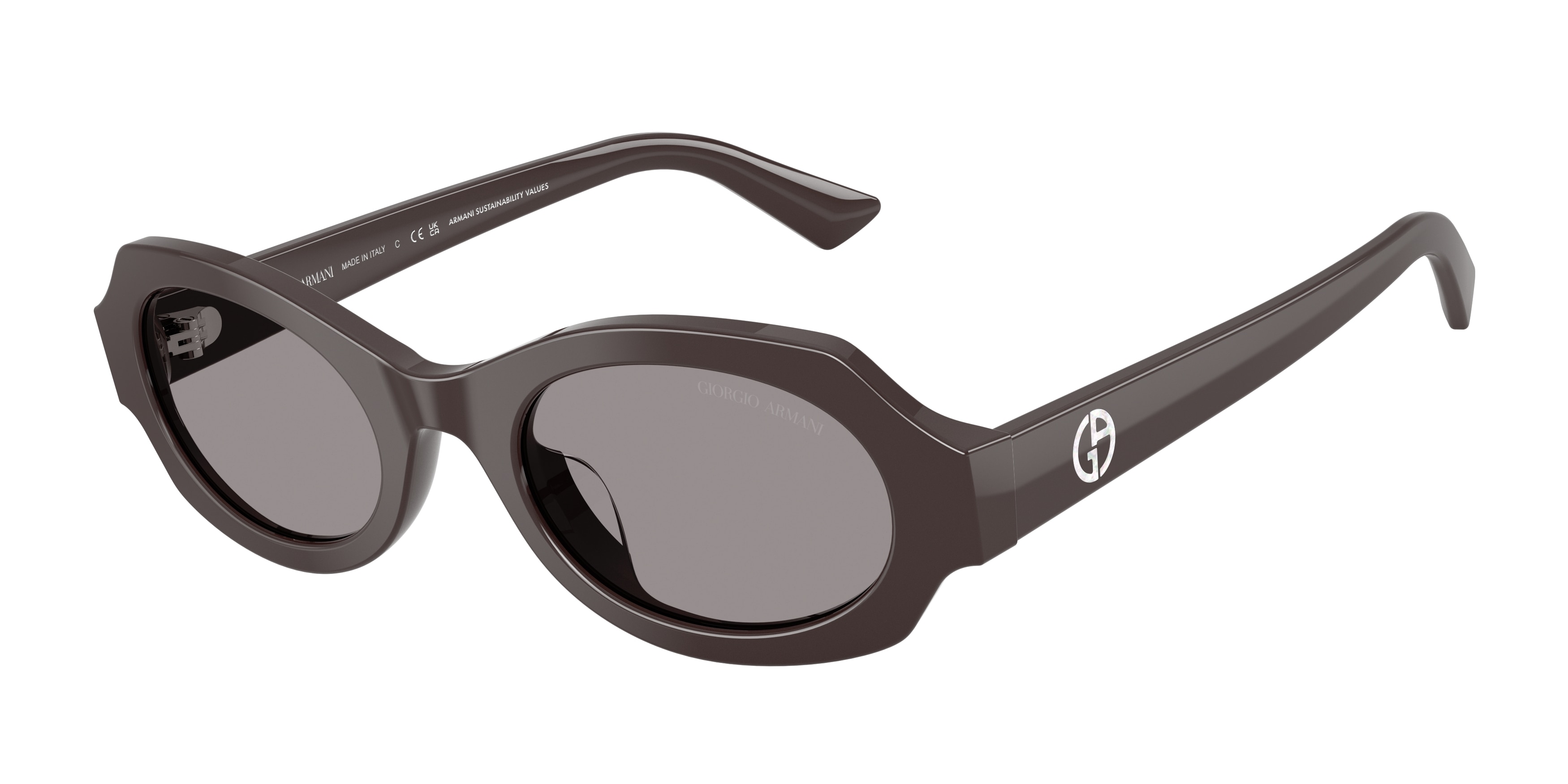 Giorgio Armani AR8245HU 6306/1  
